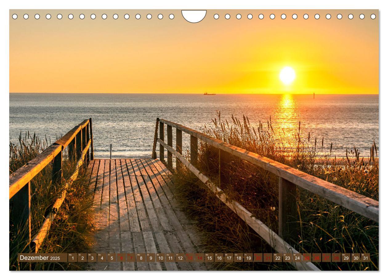 Bild: 9783383943713 | Verzaubert von Sylt (Wandkalender 2025 DIN A4 quer), CALVENDO...