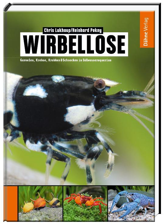 Cover: 9783935175593 | Wirbellose | Chris Lukhaup (u. a.) | Buch | Deutsch | 2014