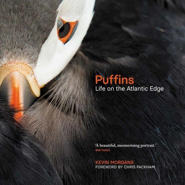 Cover: 9781913207779 | Puffins | Life on the Atlantic Edge | Kevin Morgans | Buch | Gebunden