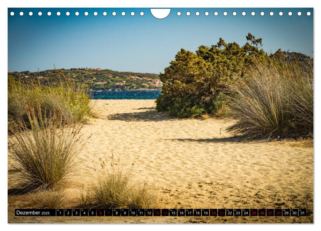 Bild: 9783435404049 | Wildes Sardinien 2025 (Wandkalender 2025 DIN A4 quer), CALVENDO...