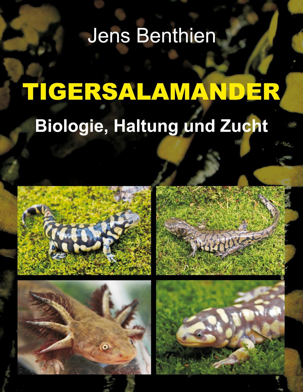 Cover: 9783734535833 | Tigersalamander | Biologie, Haltung und Zucht | Jens Benthien | Buch