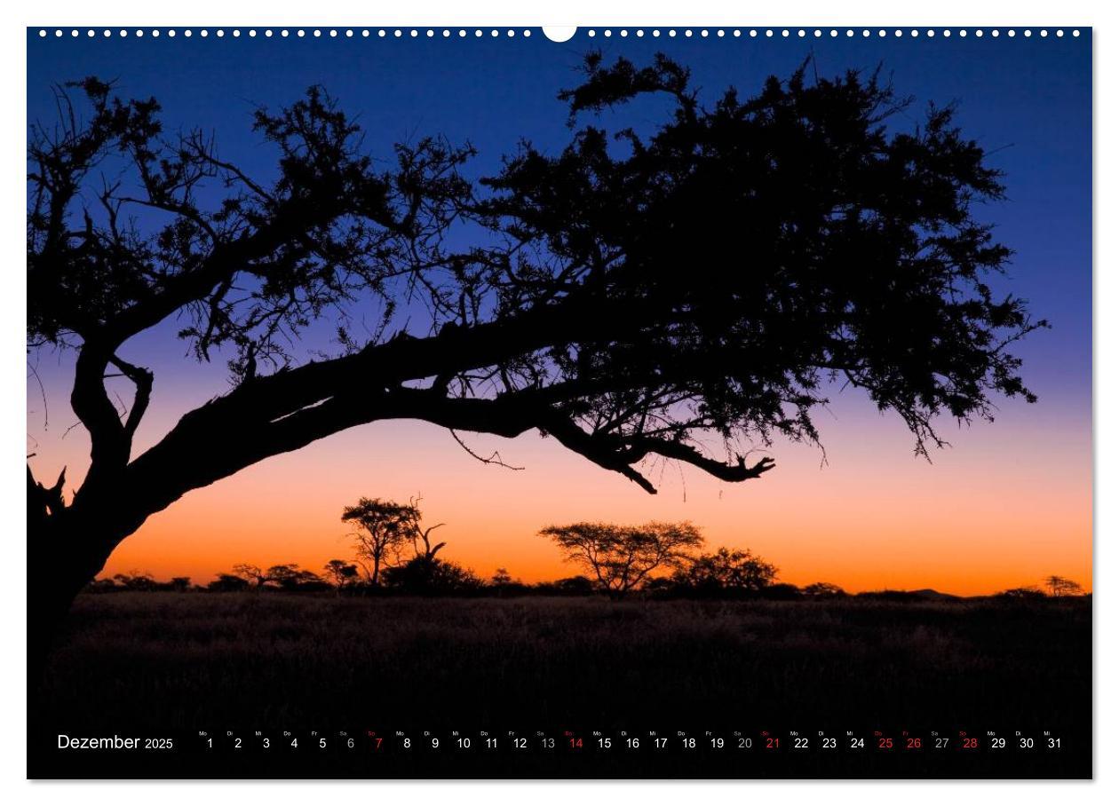 Bild: 9783435617005 | Namib Naukluft Nationalpark. NAMIBIA 2025 (Wandkalender 2025 DIN A2...