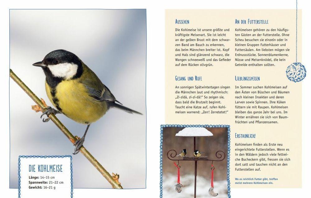 Bild: 9783649637233 | Vögel im Winter bei dir zu Gast | Mit 12 echten Vogelstimmen | Oftring
