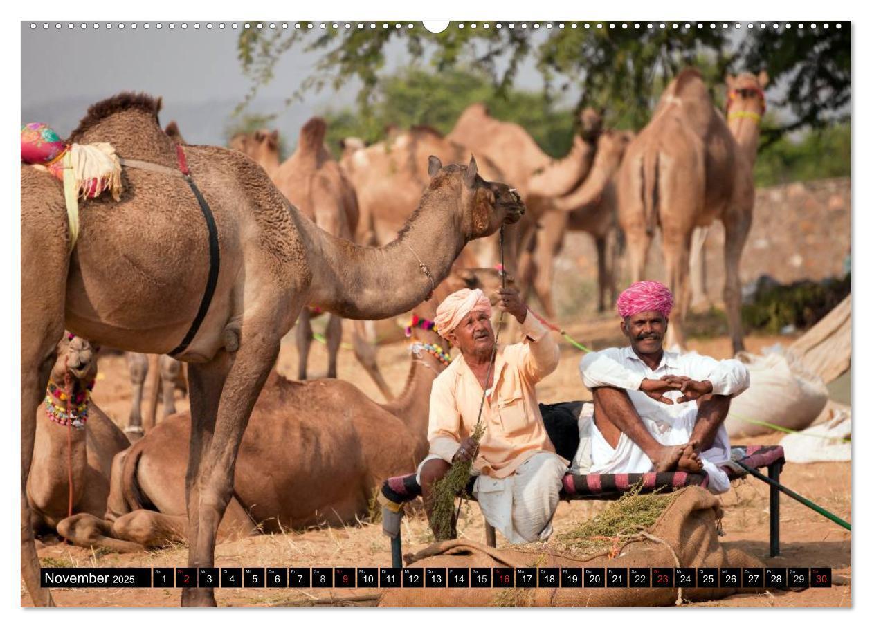 Bild: 9783435623938 | Indien - Rajasthan (hochwertiger Premium Wandkalender 2025 DIN A2...