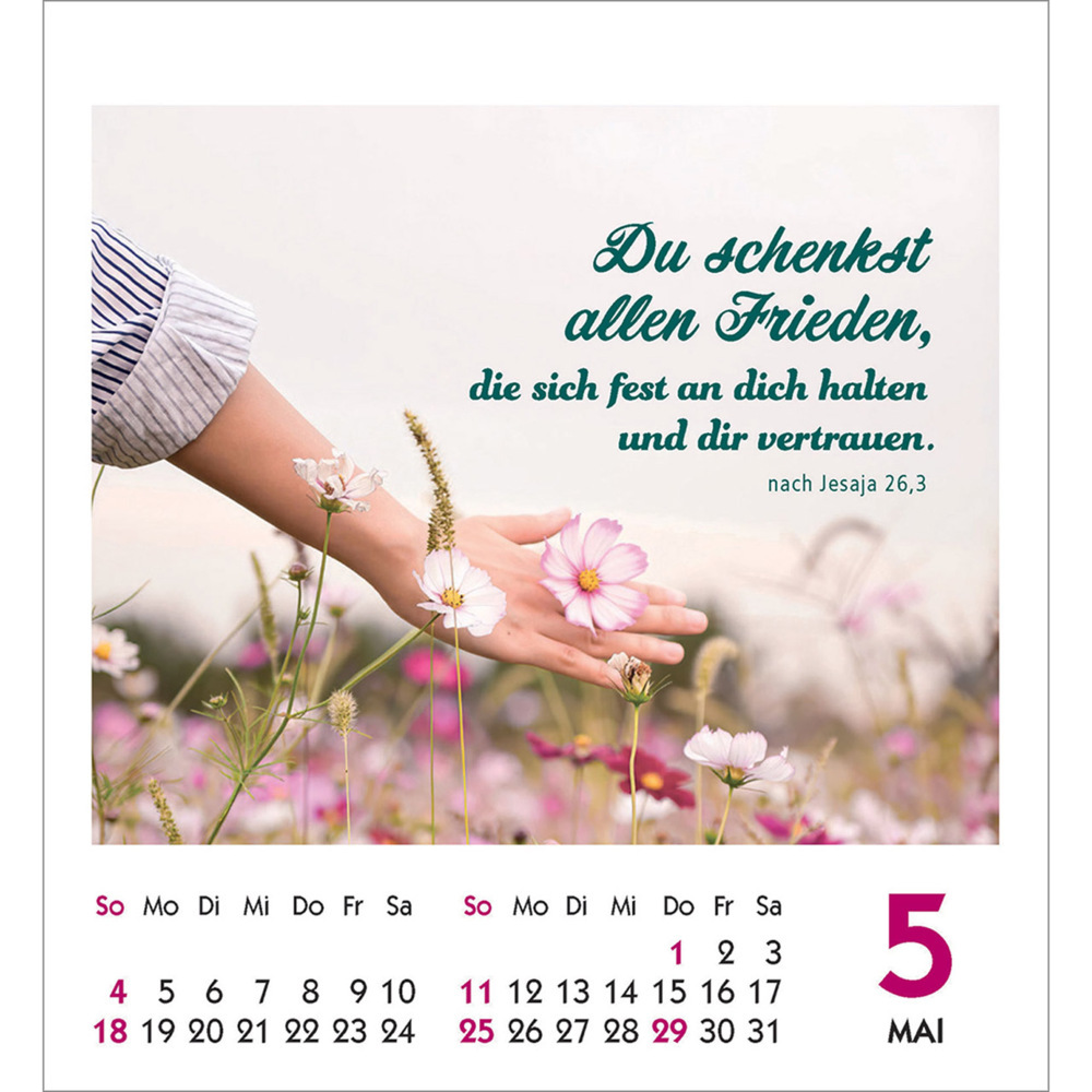 Bild: 9783754890257 | Frei sein &amp; leben 2025 | Aufkleber-Kalender | Kalender | 14 S. | 2025