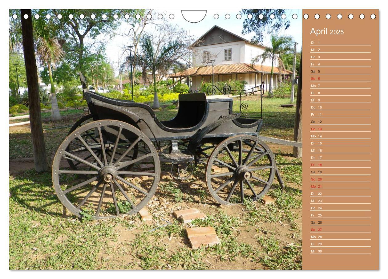 Bild: 9783435774081 | Bilder aus dem Chaco in Paraguay (Wandkalender 2025 DIN A4 quer),...