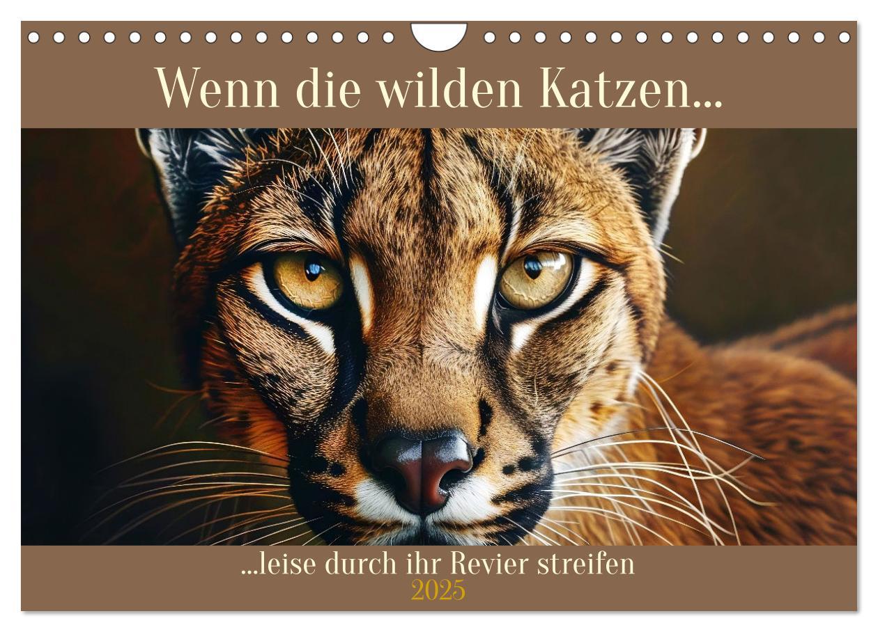 Cover: 9783383960185 | Wenn die wilden Katzen leise durch ihr Revier streifen...