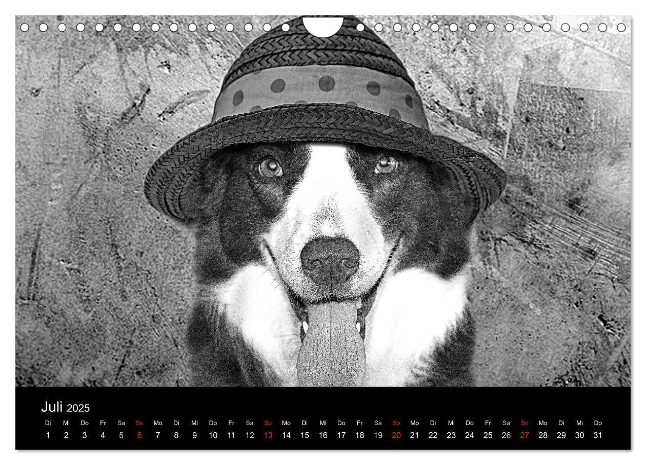 Bild: 9783435781522 | Hütehunde (Wandkalender 2025 DIN A4 quer), CALVENDO Monatskalender