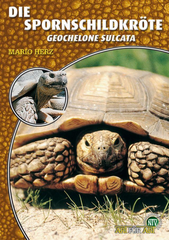 Cover: 9783866591417 | Die Spornschildkröte | Geochelone Sulcata | Mario Herz | Taschenbuch