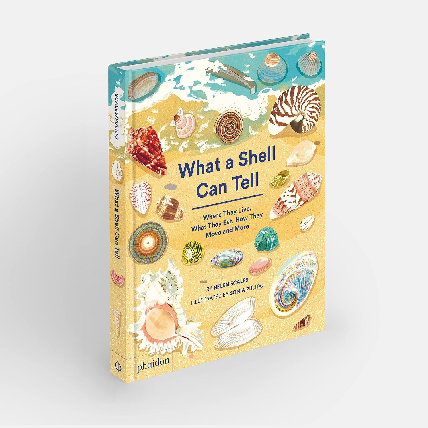 Bild: 9781838664305 | What A Shell Can Tell | Helen Scales (u. a.) | Buch | Englisch | 2022