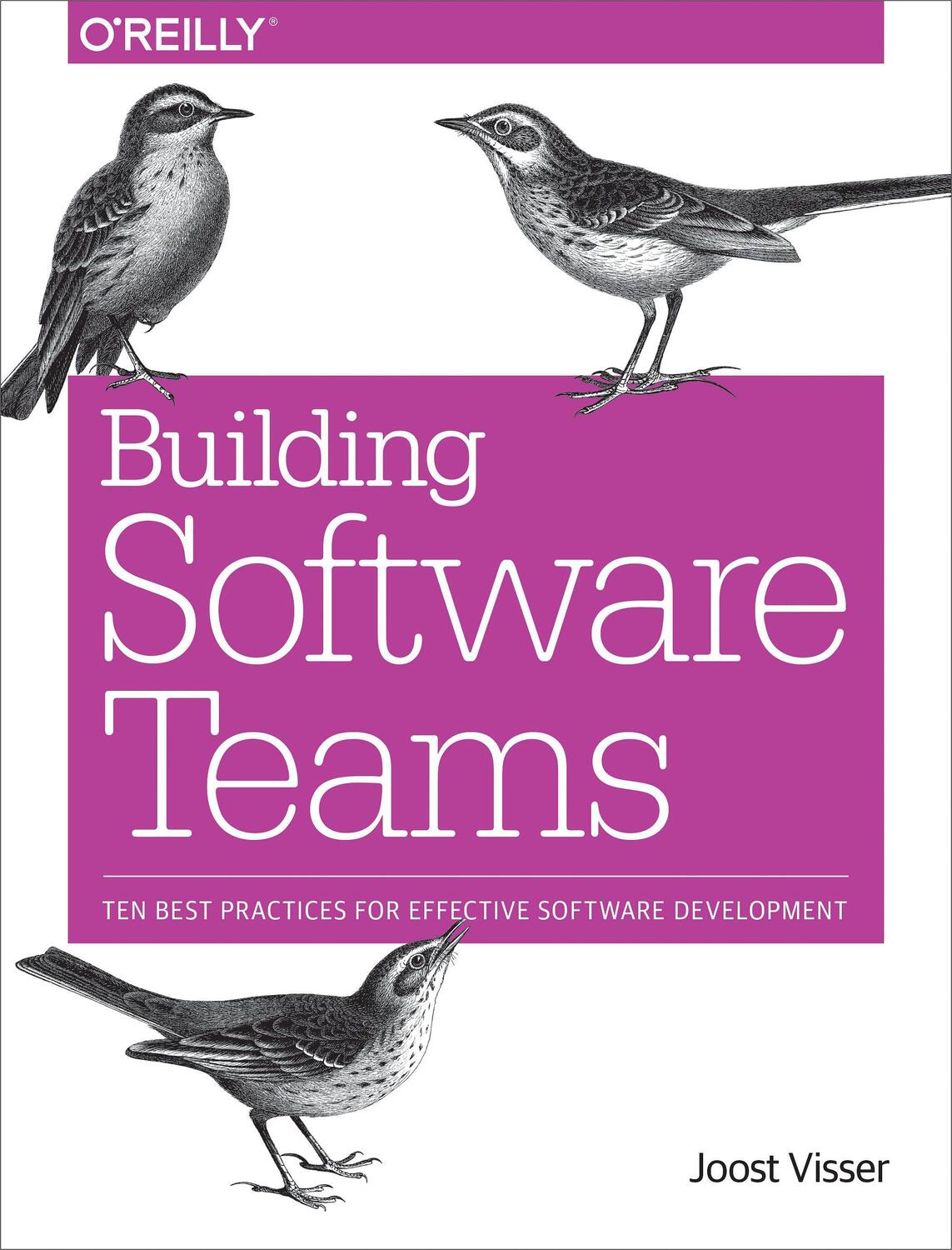 Cover: 9781491951774 | Building Software Teams: Ten Best Practices for Effective Software...