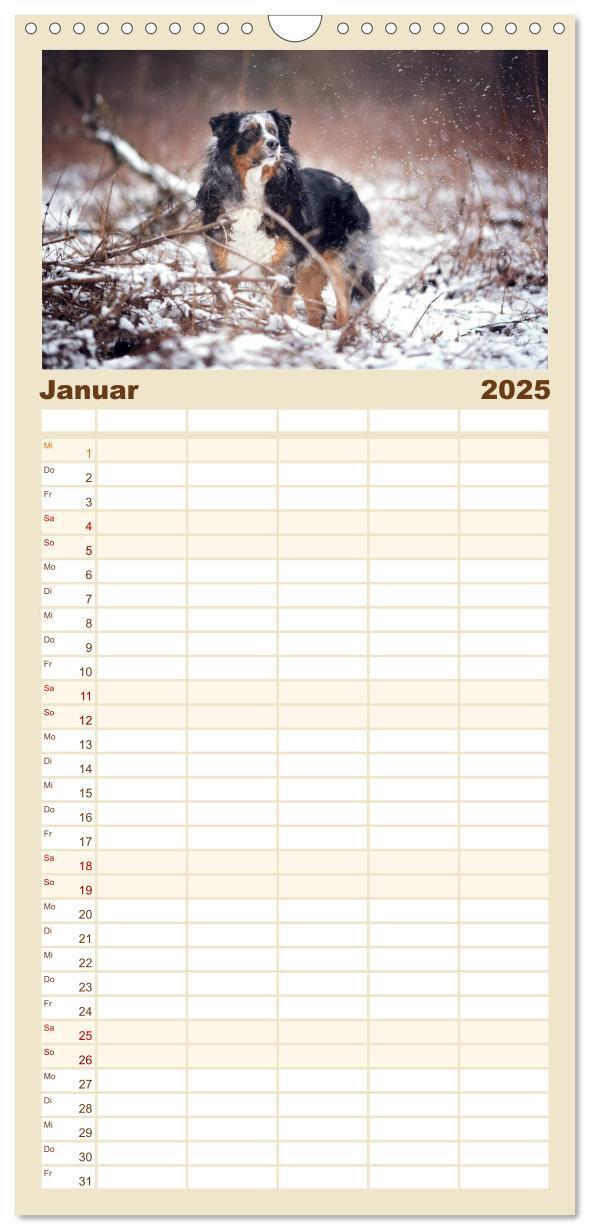 Bild: 9783457117330 | Familienplaner 2025 - Hundeseele mit 5 Spalten (Wandkalender, 21 x...