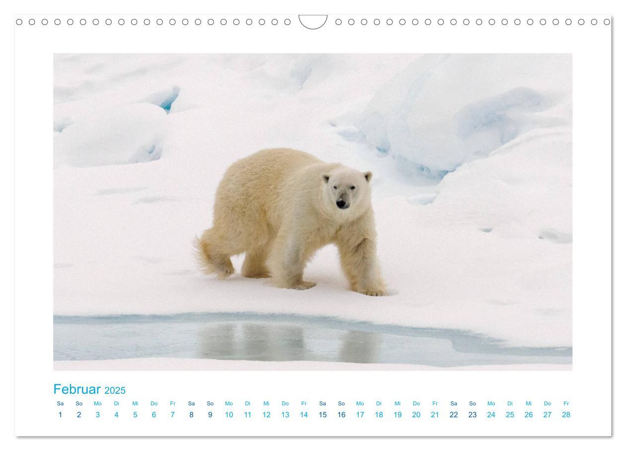 Bild: 9783435340590 | Spitzbergen - Landschaft - Eis - Tierwelt (Wandkalender 2025 DIN A3...