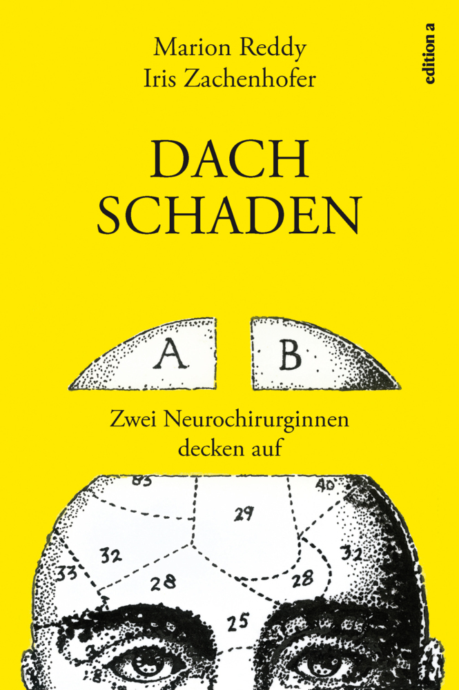 Cover: 9783990011041 | Dachschaden | Zwei Neurochirurginnen decken auf | Zachenhofer (u. a.)