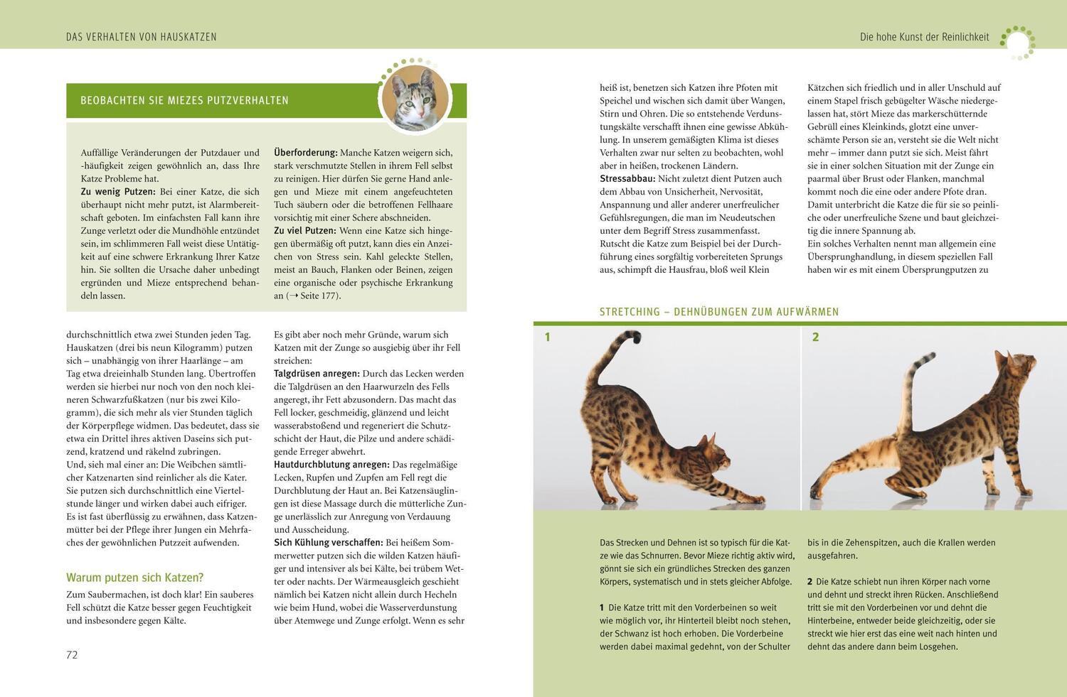 Bild: 9783833839450 | Was Katzen wirklich wollen | Mircea Pfleiderer (u. a.) | Buch | 208 S.