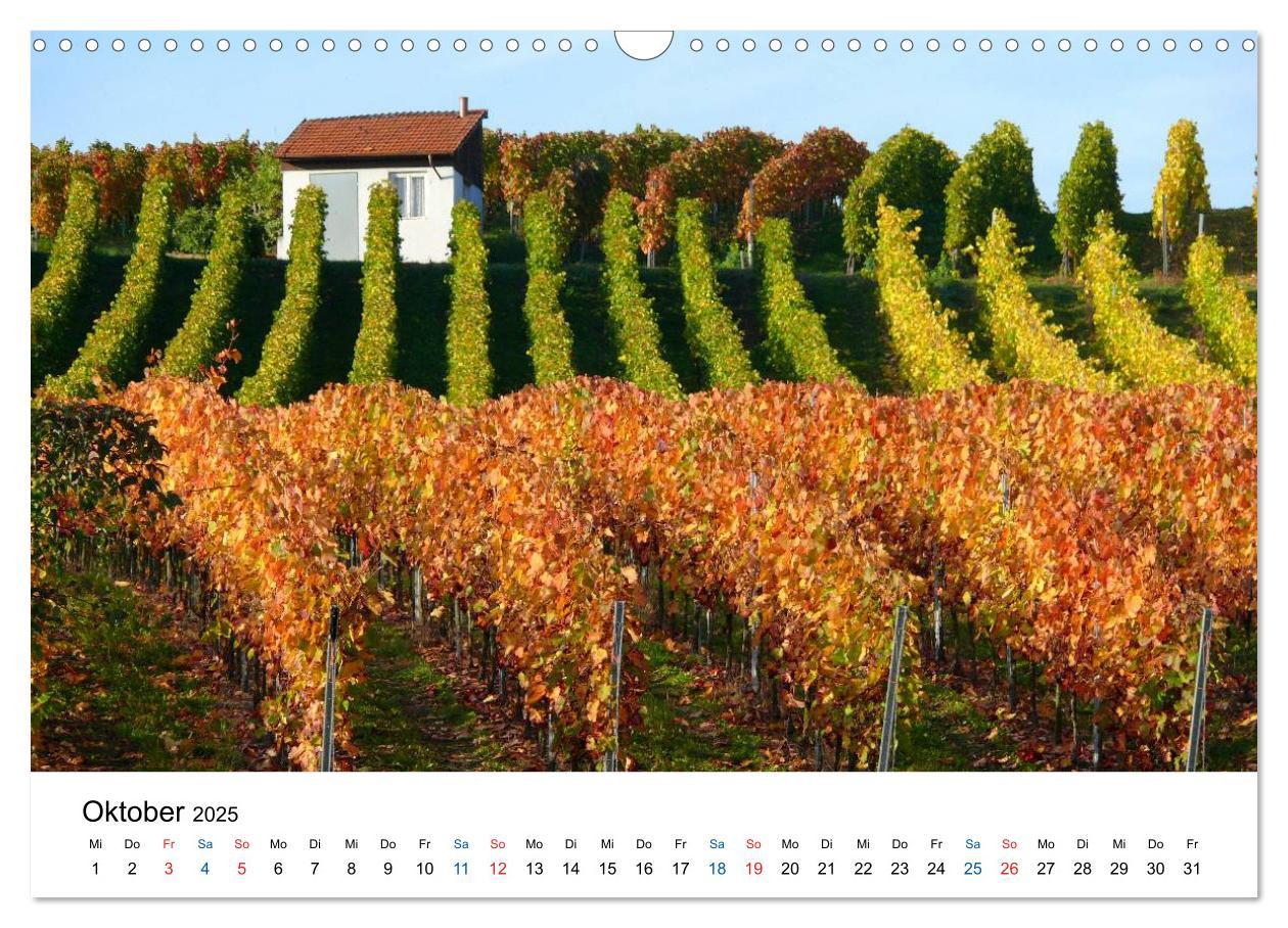 Bild: 9783435804795 | Württemberger Wein 2025 (Wandkalender 2025 DIN A3 quer), CALVENDO...