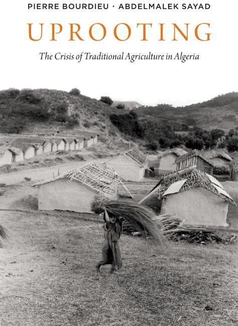 Cover: 9780745623542 | Uprooting | The Crisis of Traditional Algriculture in Algeria | Buch