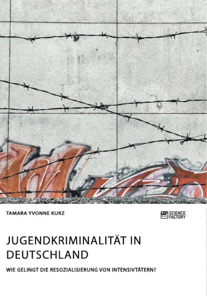 Cover: 9783956877940 | Jugendkriminalität in Deutschland. Wie gelingt die Resozialisierung...