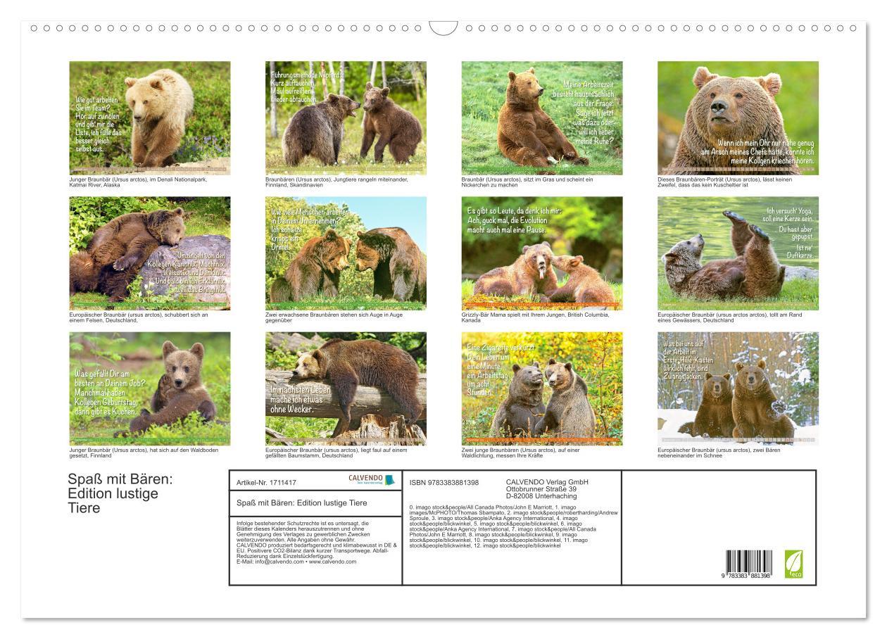 Bild: 9783383881398 | Spaß mit Bären: Edition lustige Tiere (Wandkalender 2025 DIN A2...