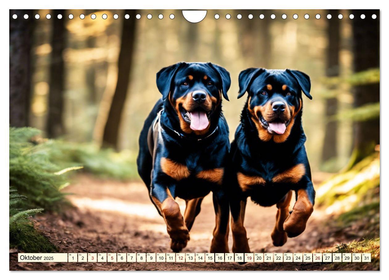 Bild: 9783457128633 | Rottweiler - die Beschützer (Wandkalender 2025 DIN A4 quer),...