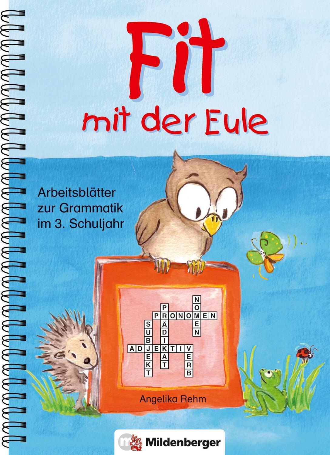 Cover: 9783619131105 | Fit mit der Eule 3. 3. Schuljahr | Angelika Rehm | Taschenbuch | 80 S.