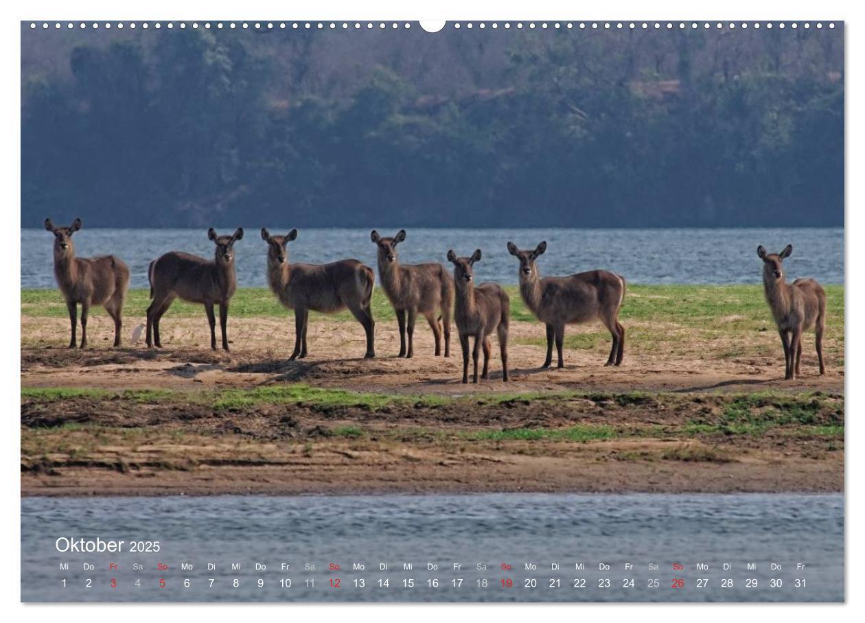 Bild: 9783435765799 | Zimbabwe (hochwertiger Premium Wandkalender 2025 DIN A2 quer),...