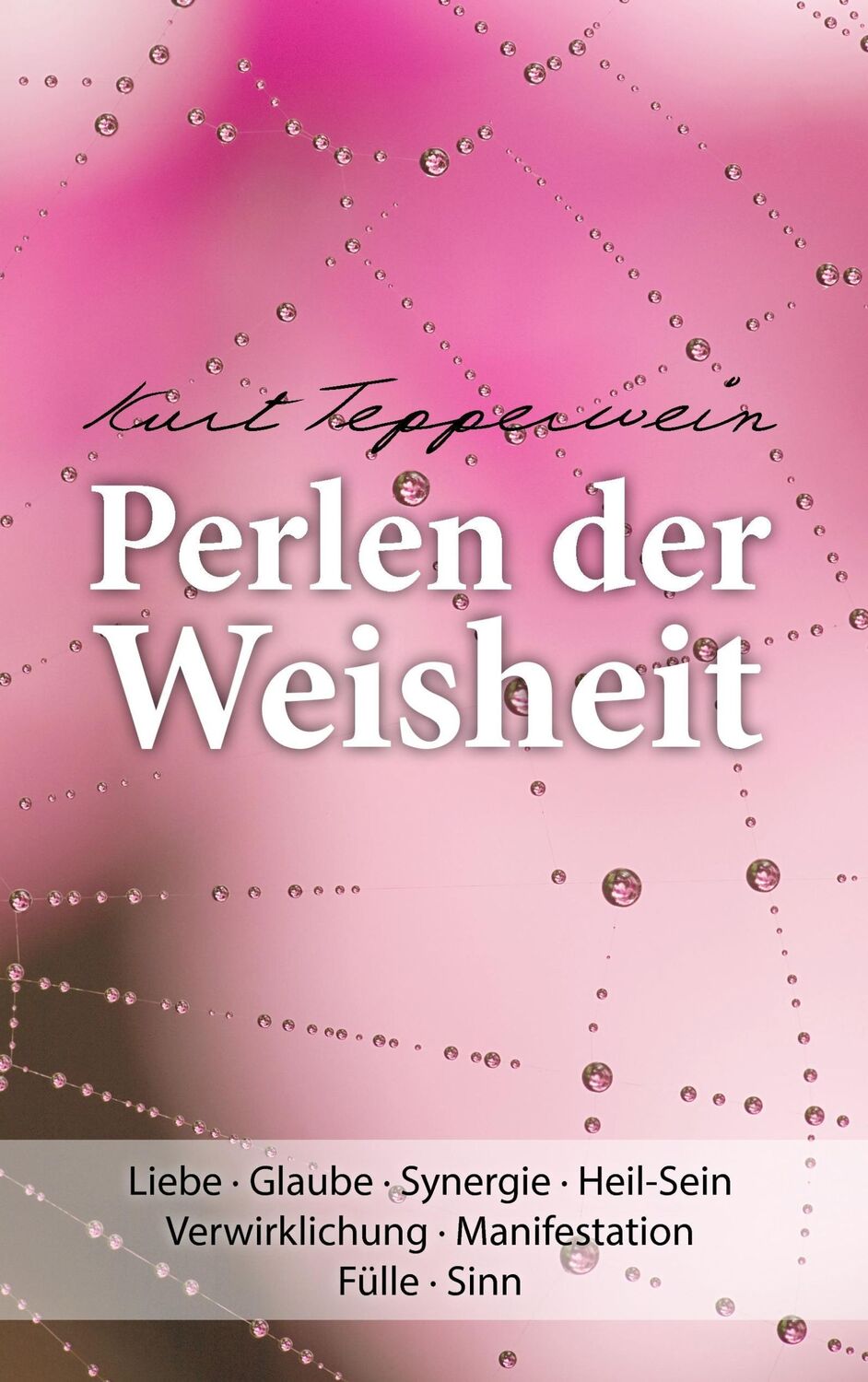 Cover: 9783743127005 | Perlen der Weisheit | Kurt Tepperwein | Taschenbuch | Paperback | 2017