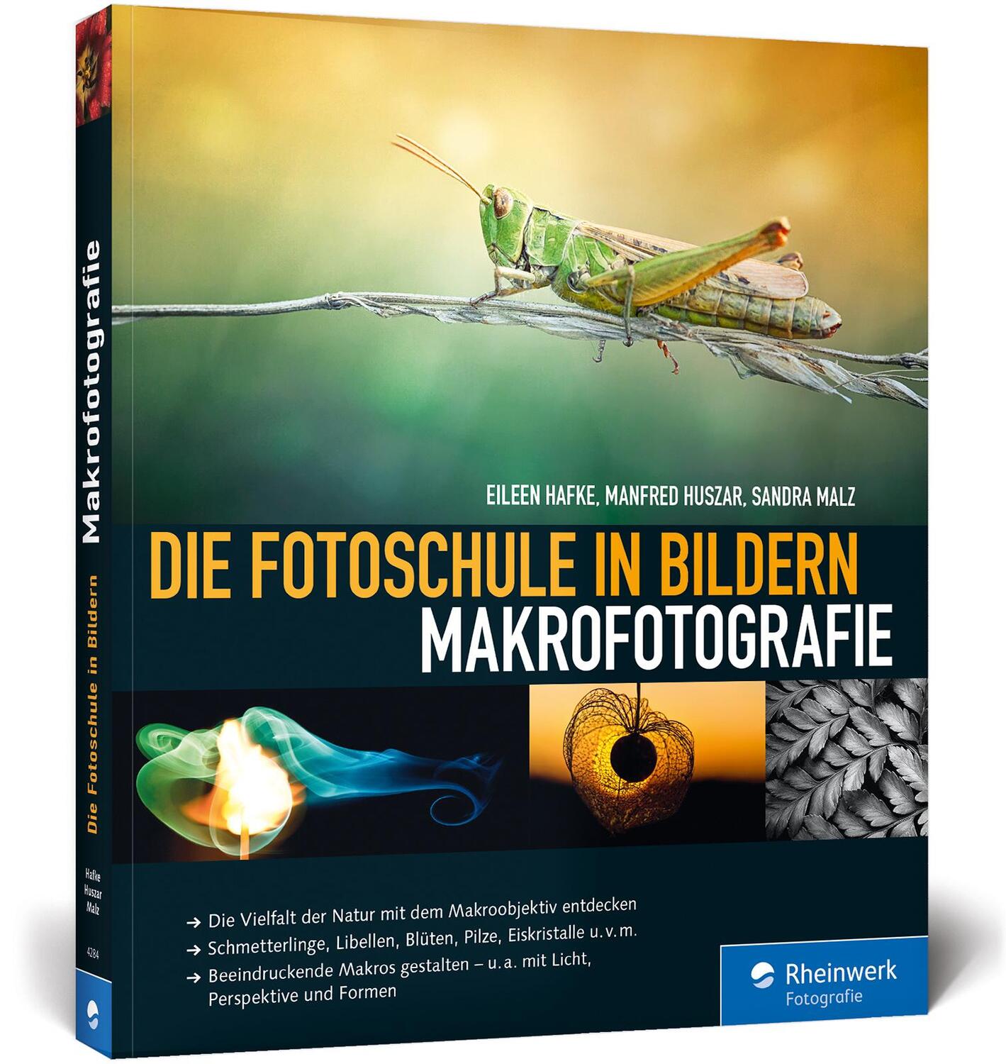 Cover: 9783836242844 | Die Fotoschule in Bildern. Makrofotografie | Eileen Hafke (u. a.)