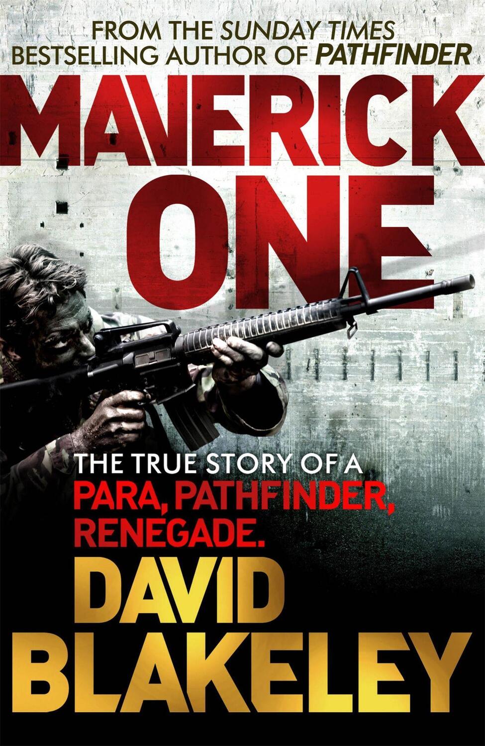 Cover: 9781409146636 | Maverick One | The True Story of a Para, Pathfinder, Renegade | Buch