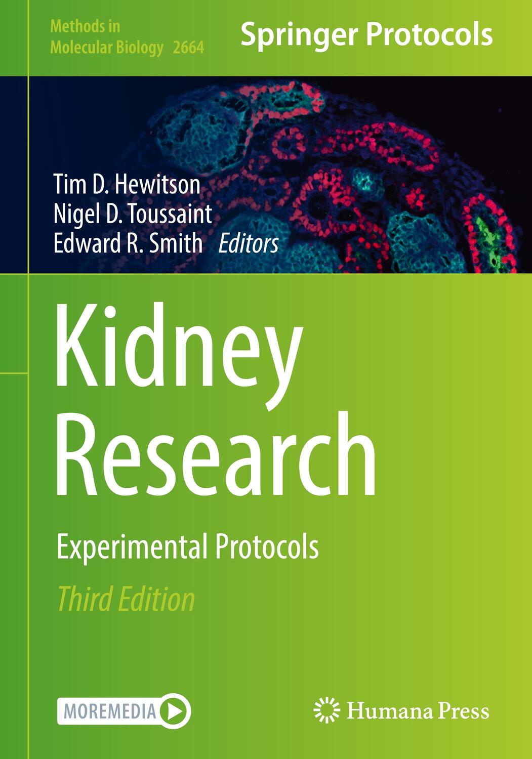Cover: 9781071631782 | Kidney Research | Experimental Protocols | Tim D. Hewitson (u. a.)