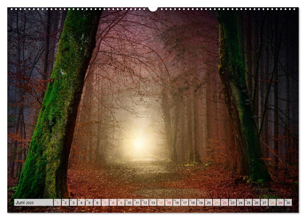 Bild: 9783435071173 | Wald - mystische Spaziergänge (Wandkalender 2025 DIN A2 quer),...