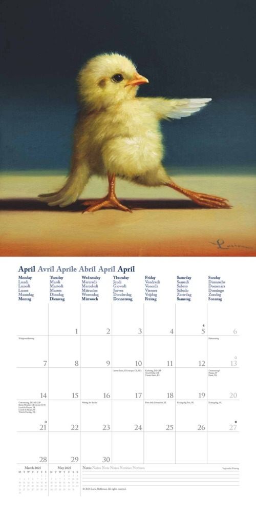 Bild: 4250809653914 | DUMONT - Yoga Chicks: Lucia Heffernan 2025 Broschürenkalender,...