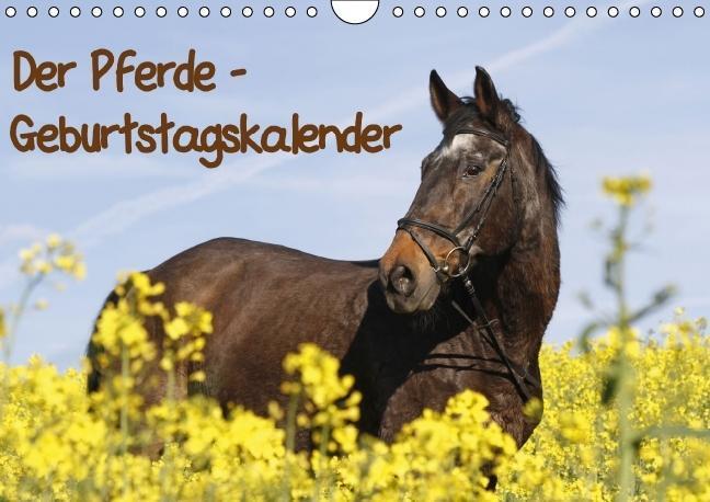 Cover: 9783660194883 | Der Pferde-Geburtstagskalender (Wandkalender immerwährend DIN A4 quer)