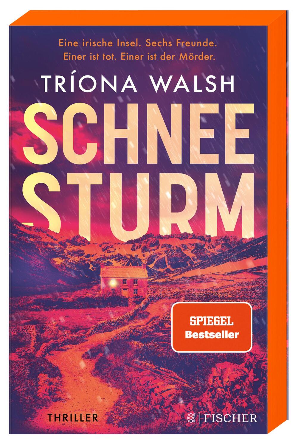 Cover: 9783596708994 | Schneesturm | Tríona Walsh | Taschenbuch | 384 S. | Deutsch | 2023