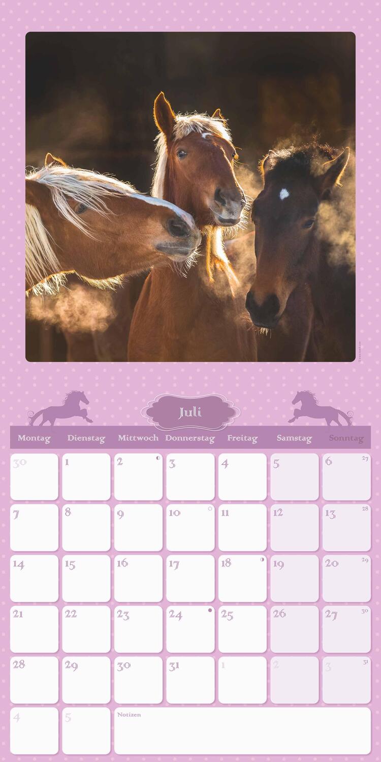 Bild: 4251732340834 | Mein Pferdekalender 2025 - Broschürenkalender 30x30 cm (30x60...