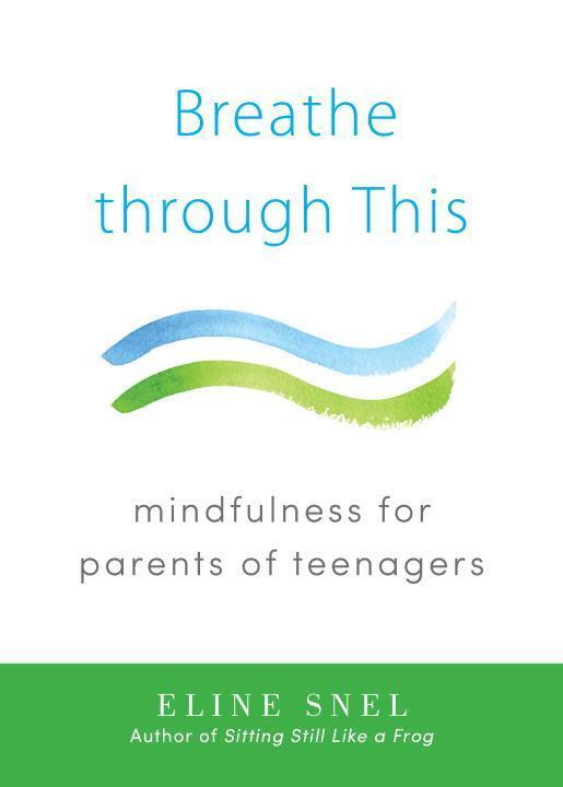 Cover: 9781611802467 | Breathe Through This: Mindfulness for Parents of Teenagers | Snel