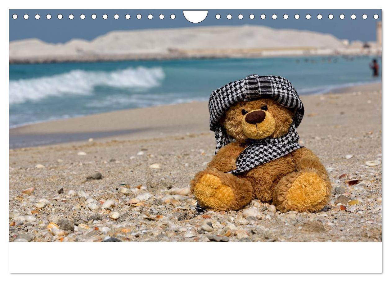 Bild: 9783435503414 | Travelling Teddy 2025 (Wandkalender 2025 DIN A4 quer), CALVENDO...