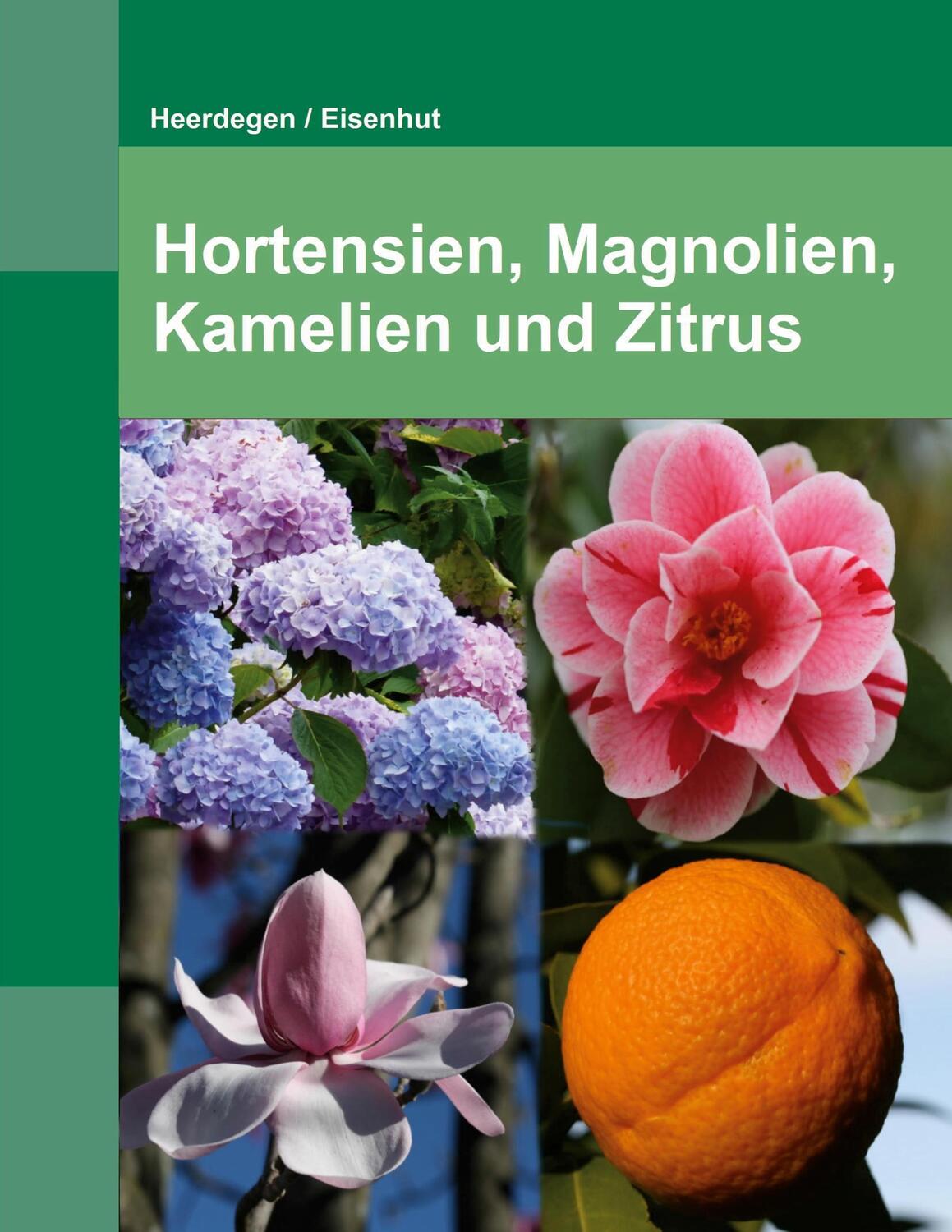 Cover: 9783756221158 | Hortensien, Kamelien, Magnolien und Zitrus | Beat Heerdegen | Buch