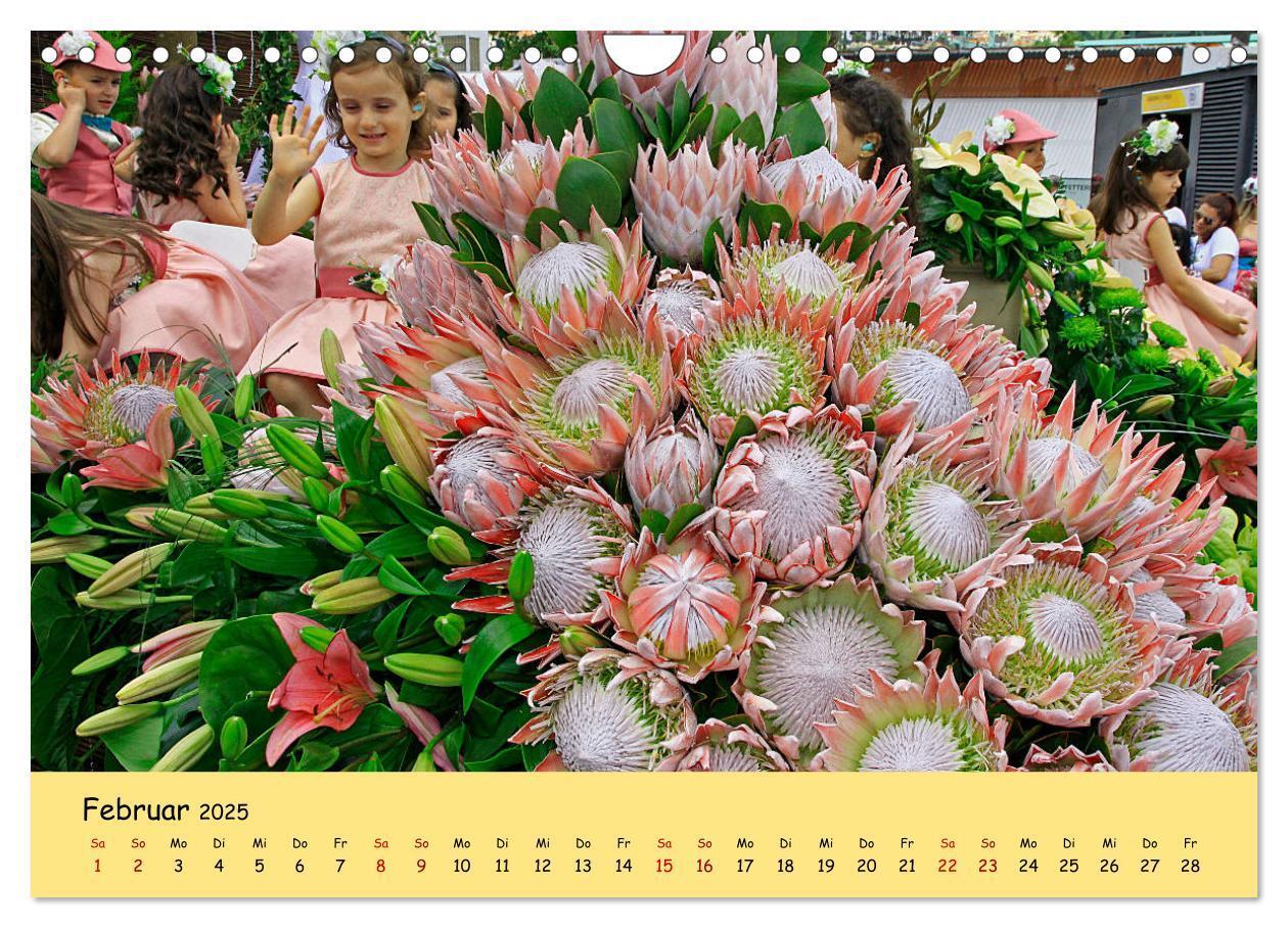 Bild: 9783435457687 | Blumenfest auf Madeira (Wandkalender 2025 DIN A4 quer), CALVENDO...