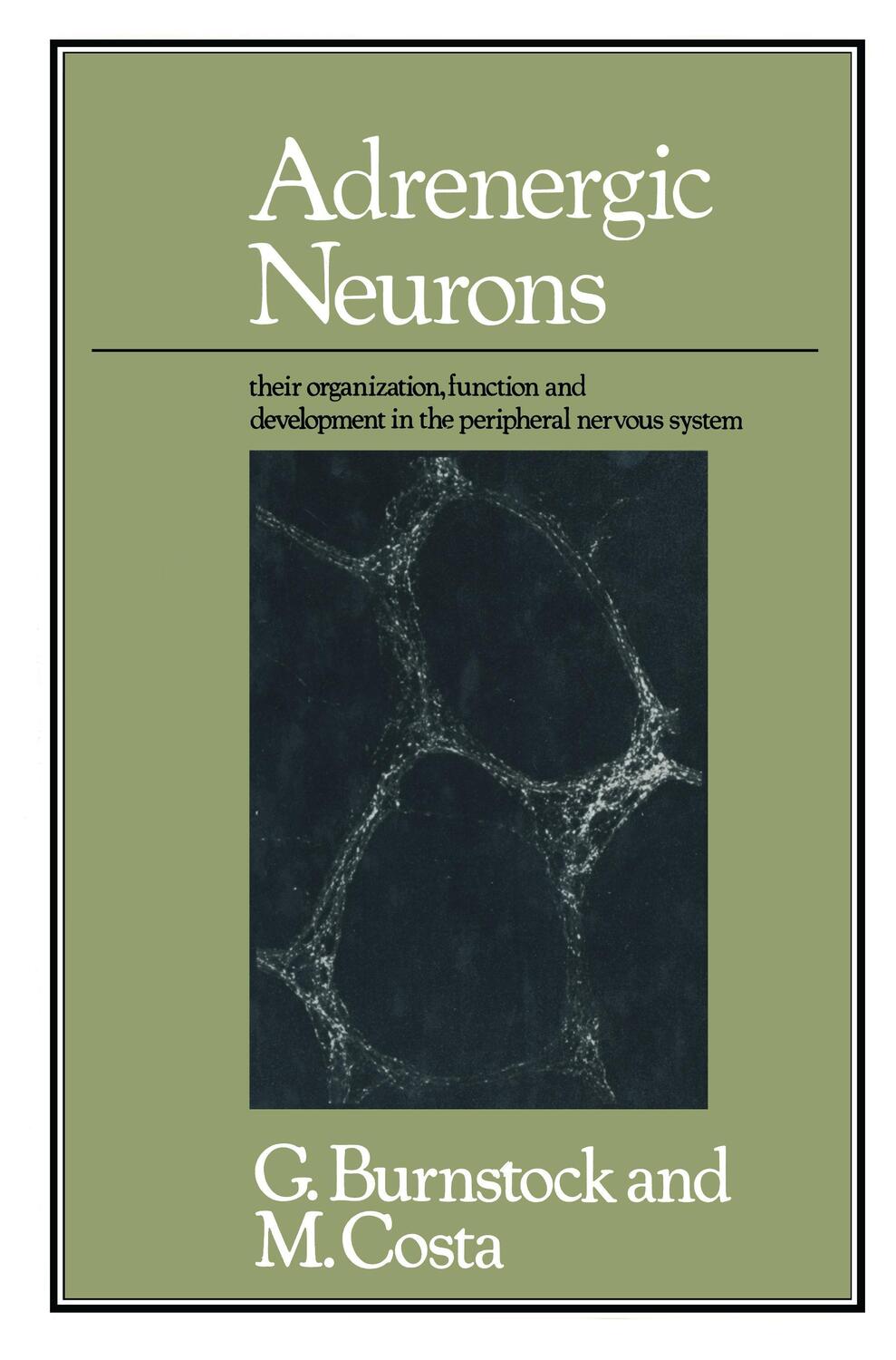 Cover: 9780412140600 | Adrenergic Neurons | Geoffrey Burnstock and Marcello Costa | Buch | xi