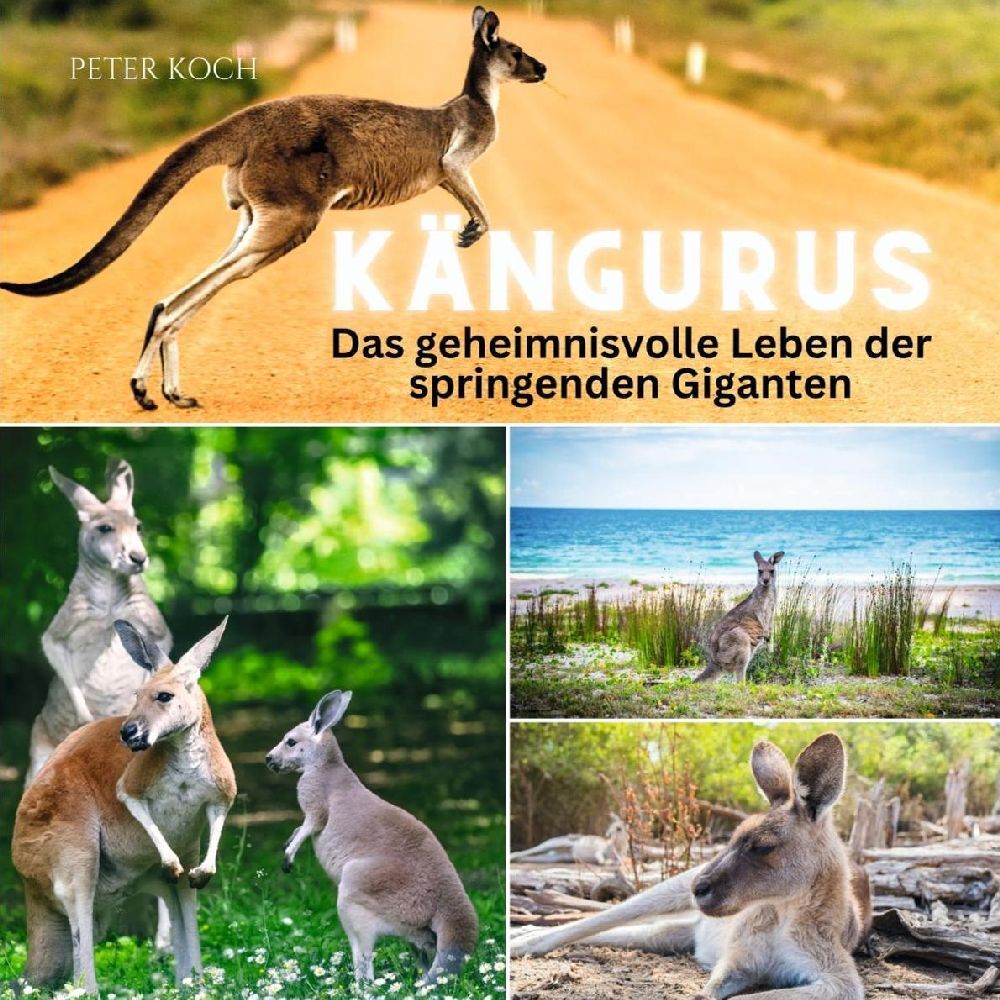 Cover: 9783750563827 | Kängurus | Das geheimnisvolle Leben der springenden Giganten | Koch