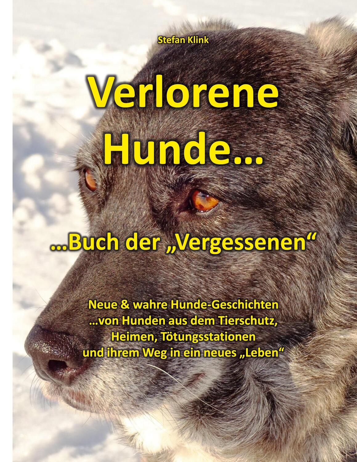 Cover: 9783757887667 | Verlorene Hunde | ...Buch der "Vergessenen" | Stefan Klink | Buch