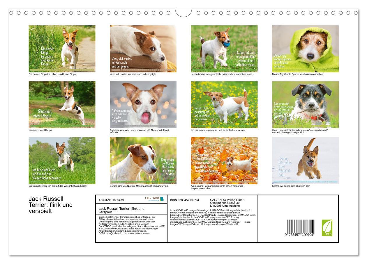 Bild: 9783457199794 | Jack Russell Terrier: flink und verspielt (Wandkalender 2025 DIN A3...