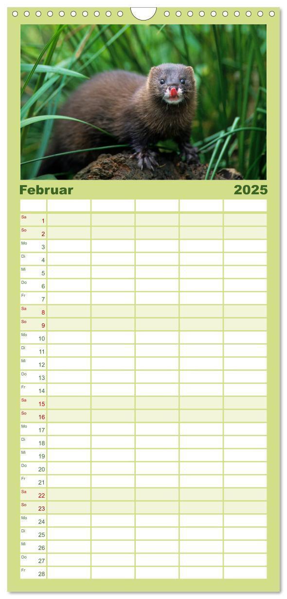 Bild: 9783457117606 | Familienplaner 2025 - Tiere des Waldes mit 5 Spalten (Wandkalender,...