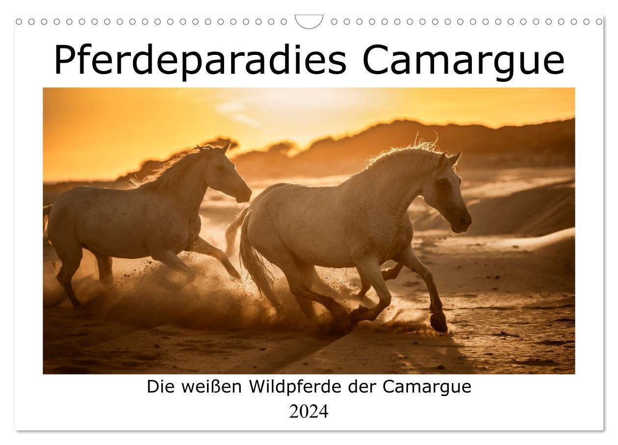 Cover: 9783675514393 | Pferdeparadies Camargue (Wandkalender 2024 DIN A3 quer), CALVENDO...