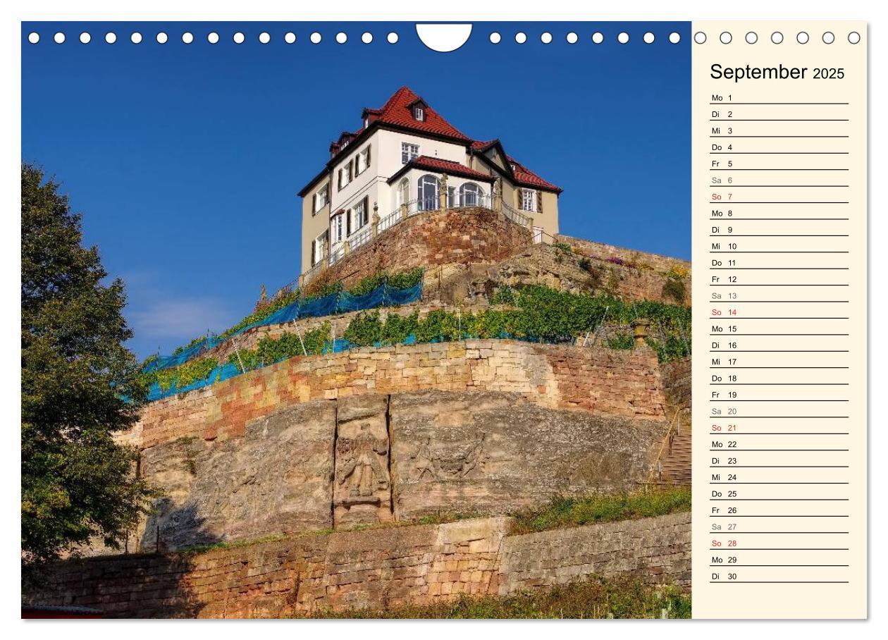 Bild: 9783435508006 | Saale-Unstrut - Region aus Wein und Stein (Wandkalender 2025 DIN A4...