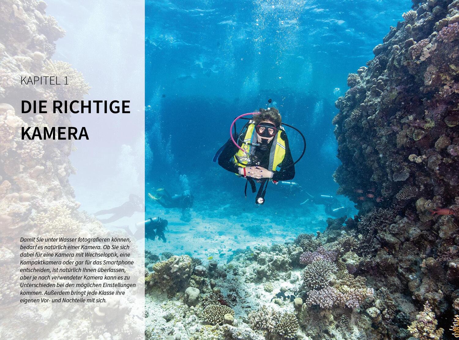 Bild: 9783832805364 | Unterwasser - Die Fotoschule mit "Tiefgang" | Toby Horn | Buch | 2022