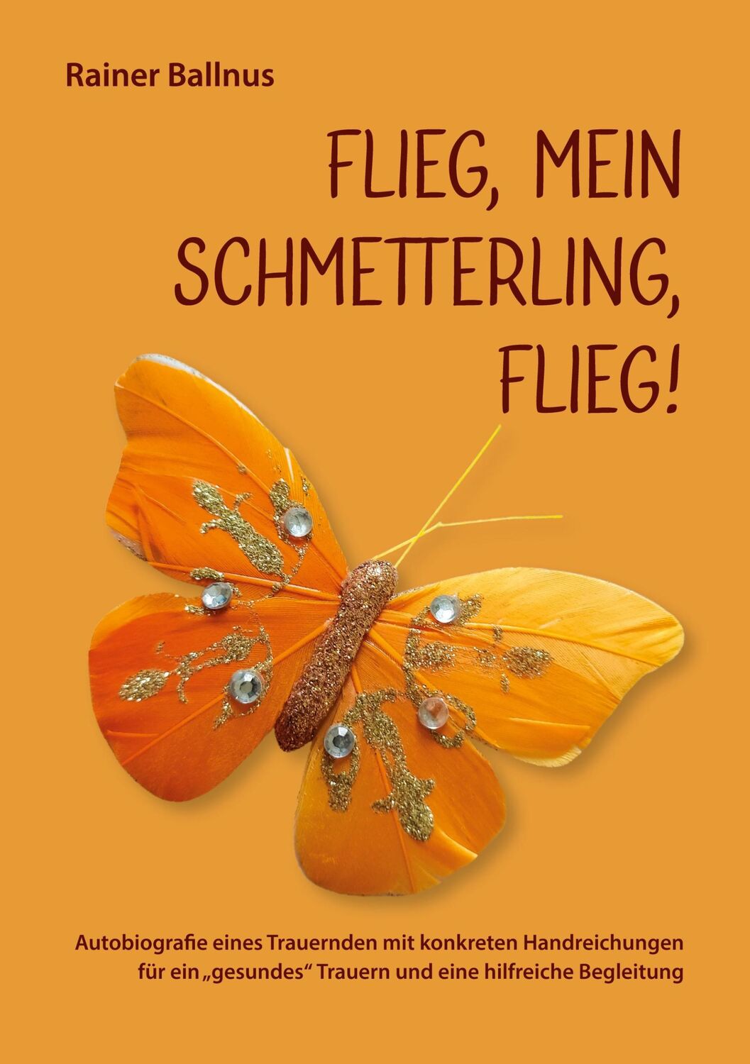 Cover: 9783751994804 | Flieg, mein Schmetterling, flieg! | Rainer Ballnus | Taschenbuch