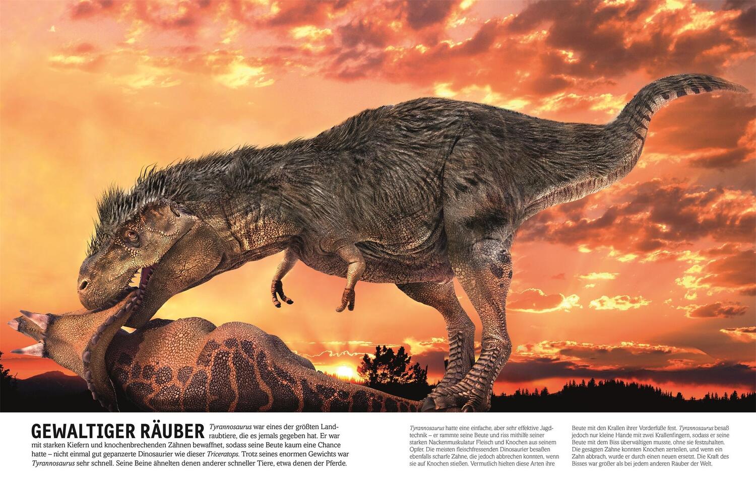 Bild: 9783831035649 | Dinosaurier | Lebewesen und Fossilien der Urzeit in über 1000 Bildern