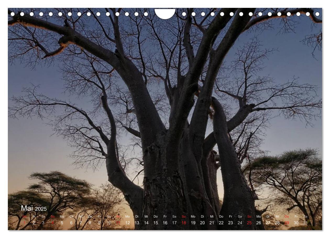 Bild: 9783435769155 | Zimbabwe (Wandkalender 2025 DIN A4 quer), CALVENDO Monatskalender